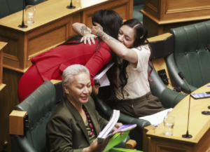 Maori treaty bill