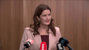 Nichola willis speak to media