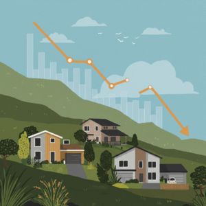 NZ housing marketbdips