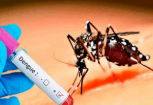 Screenshot 2025-07-01 135408