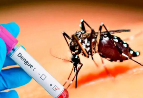 Screenshot 2025-07-01 135408