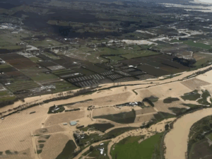 Screenshot 2025-07-05 160108