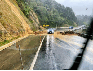 Screenshot 2025-07-29 145447