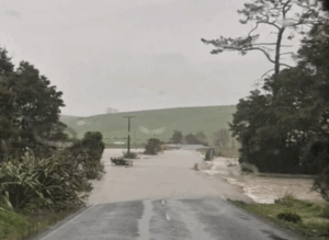 Screenshot 2025-07-29 145507