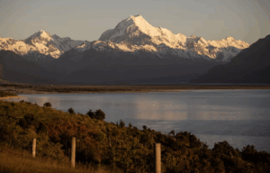 Screenshot 2025-08-08 104035