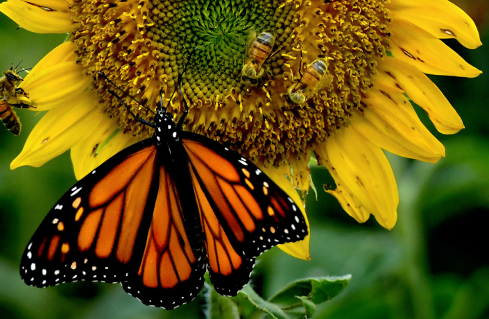 Screenshot 2025-08-08 104710