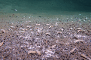 Screenshot 2025-08-19 105450