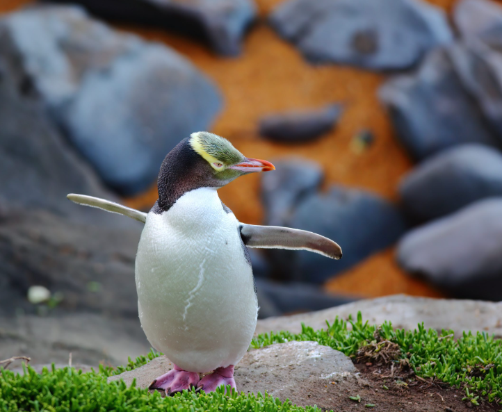 Screenshot 2025-09-15 120421