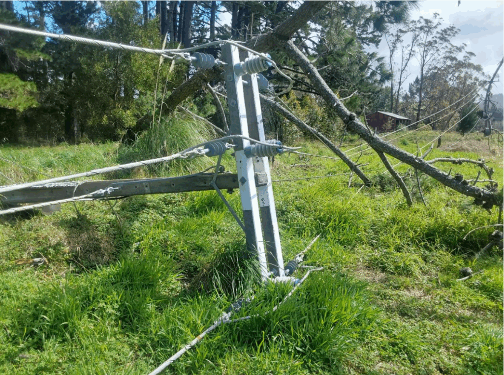 Screenshot 2025-09-15 120759