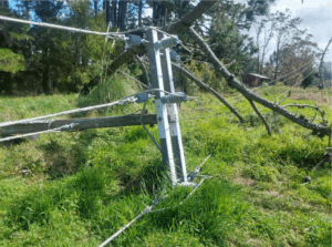 Screenshot 2025-09-15 120759