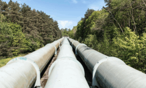 Screenshot 2025-10-11 at 3.00.00 PM