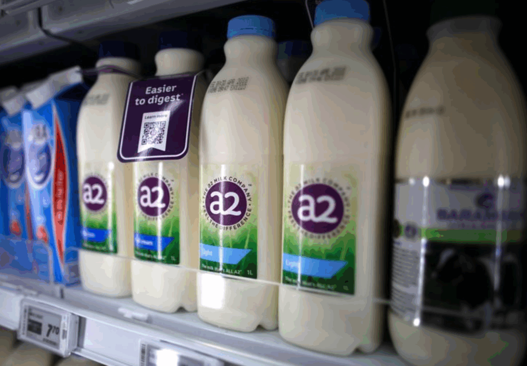 Screenshot 2025-10-11 at 3.08.44 PM