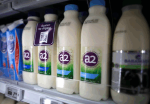 Screenshot 2025-10-11 at 3.08.44 PM