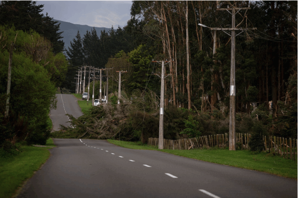 Screenshot 2025-10-24 at 9.00.30 AM