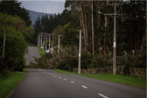 Screenshot 2025-10-24 at 9.00.30 AM