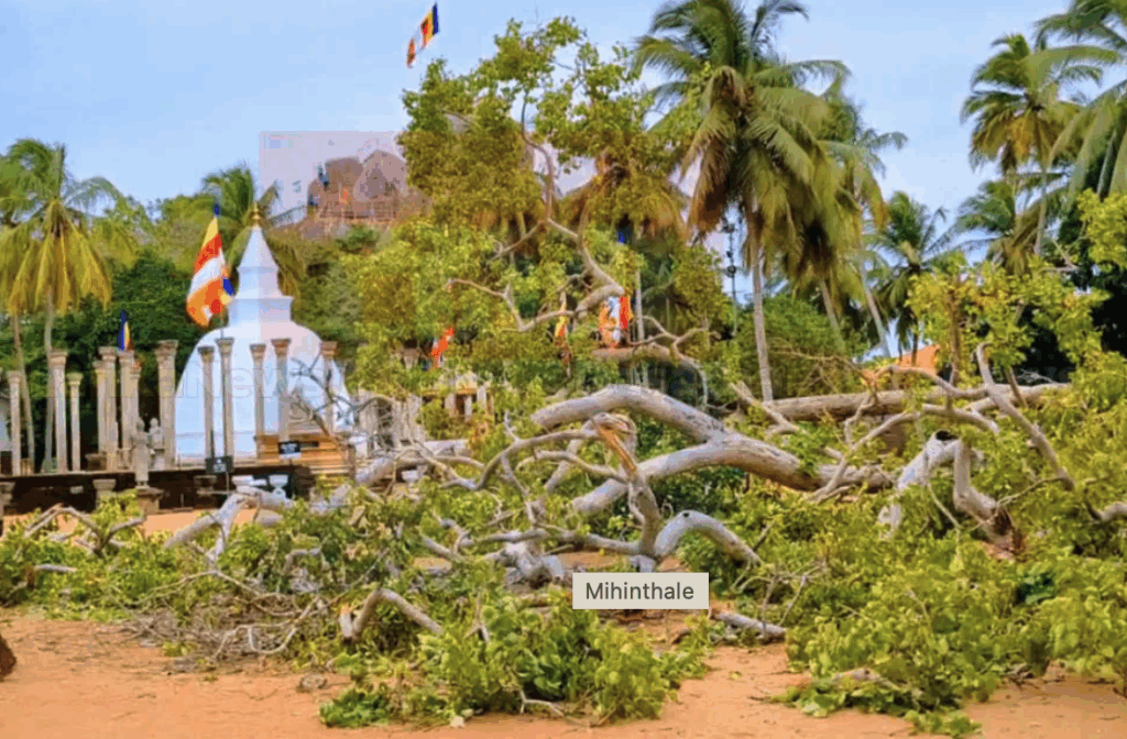 Screenshot 2025-10-28 at 10.37.40 AM