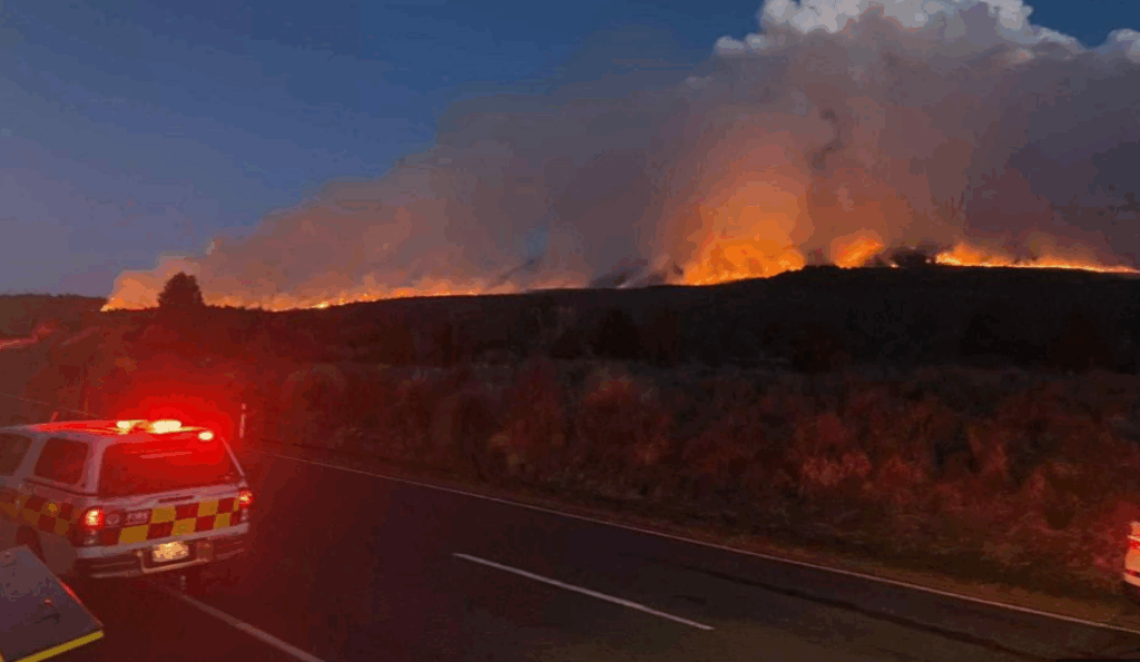 Screenshot 2025-11-10 193448