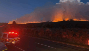 Screenshot 2025-11-10 193448