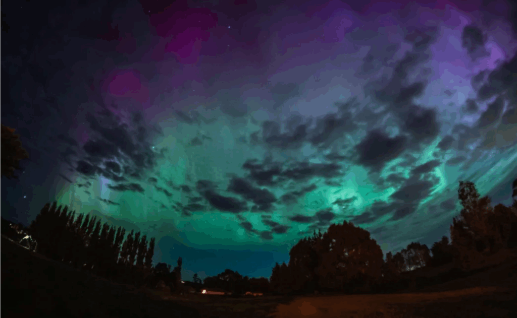 Screenshot 2025-11-13 at 3.52.35 PM