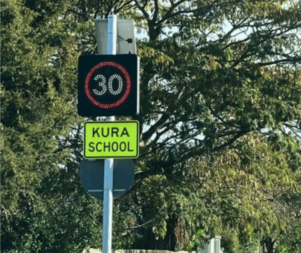 Screenshot 2025-11-24 at 5.02.30 PM