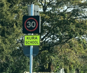 Screenshot 2025-11-24 at 5.02.30 PM