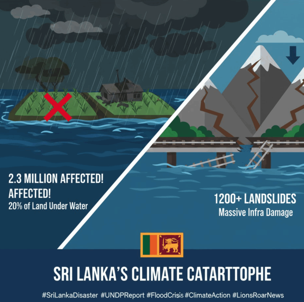 Screenshot 2025-12-11 at 1.19.12 PM