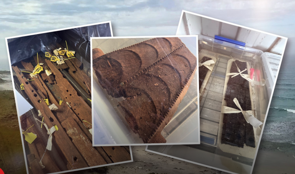 Screenshot 2025-12-27 at 12.22.24 PM