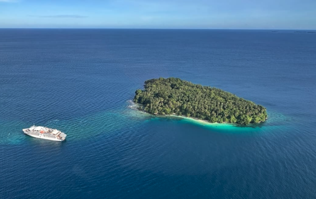 Screenshot 2025-12-31 at 9.39.57 AM