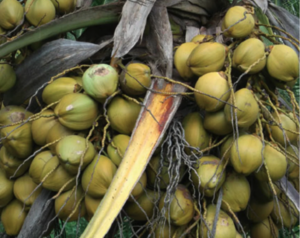 Screenshot 2026-01-03 at 9.38.22 AM