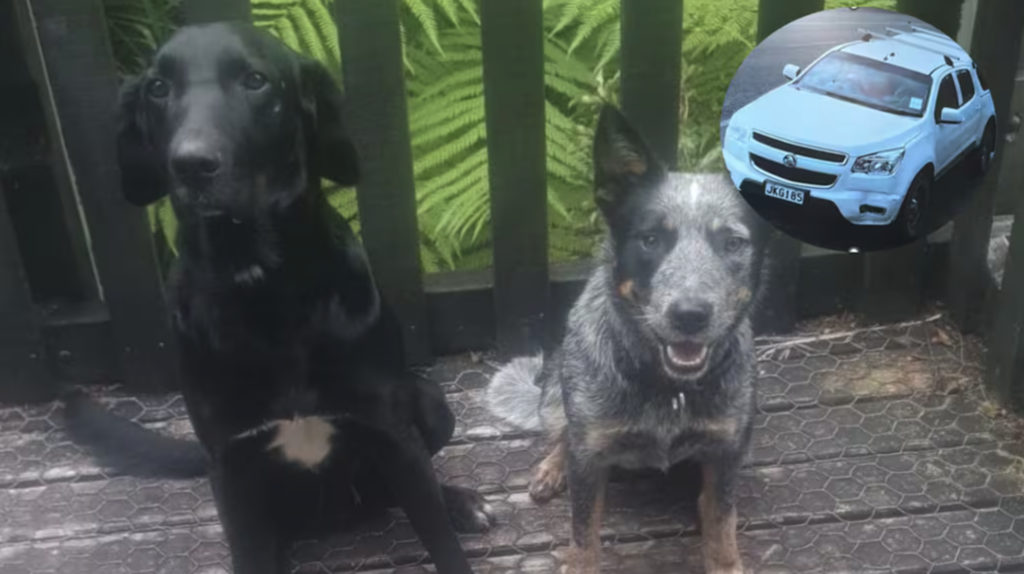 Screenshot 2026-01-04 at 6.01.31 PM