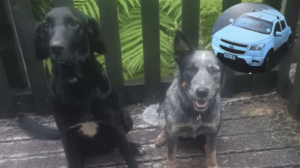 Screenshot 2026-01-04 at 6.01.31 PM