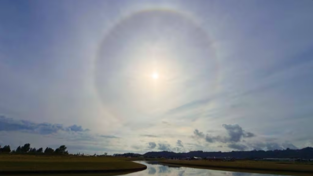 Screenshot 2026-01-06 at 4.49.04 PM