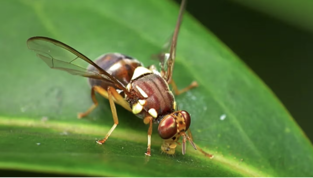 Screenshot 2026-01-07 at 8.18.07 PM