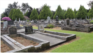 Screenshot 2026-01-07 at 8.42.29 PM