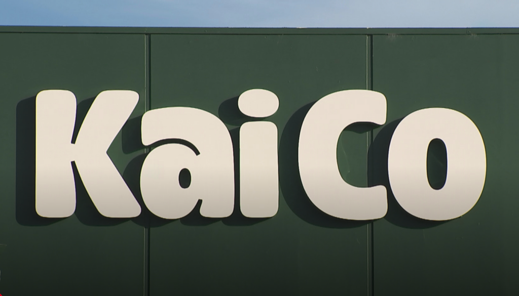 Screenshot 2026-01-08 at 12.31.57 PM