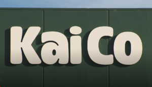 Screenshot 2026-01-08 at 12.31.57 PM