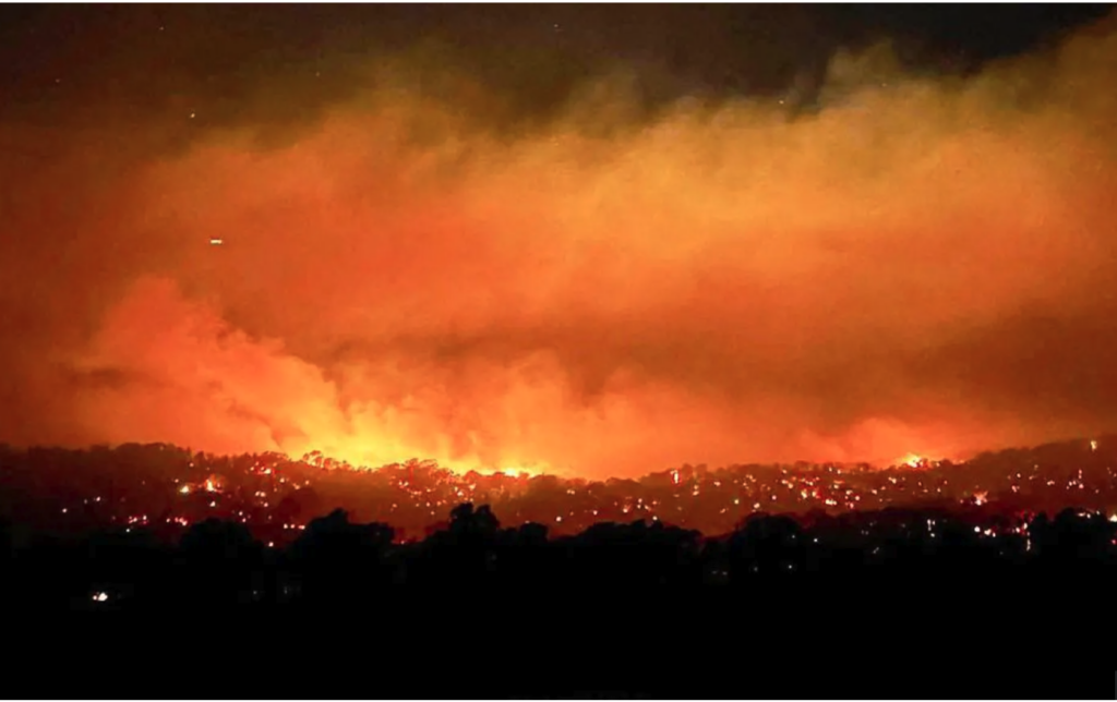 Screenshot 2026-01-09 at 8.44.57 AM