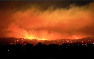 Screenshot 2026-01-09 at 8.44.57 AM