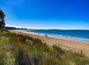 Screenshot 2026-01-11 at 9.55.09 PM