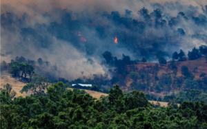 Screenshot 2026-01-12 at 2.17.10 PM