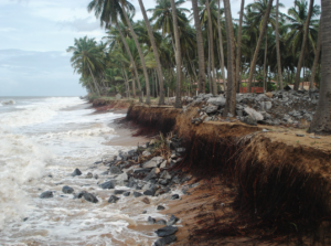 Screenshot 2026-01-14 at 8.18.41 PM