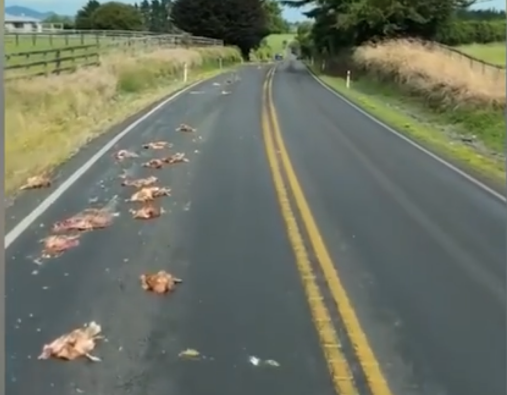 Screenshot 2026-01-16 at 6.06.31 PM