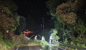 Screenshot 2026-01-20 at 10.01.49 AM