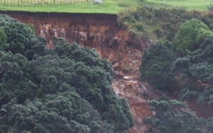 Screenshot 2026-01-23 at 9.16.18 AM