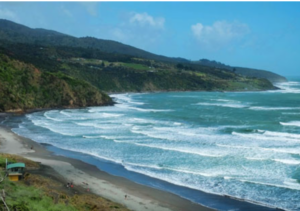 Screenshot 2026-01-26 at 10.39.20 AM