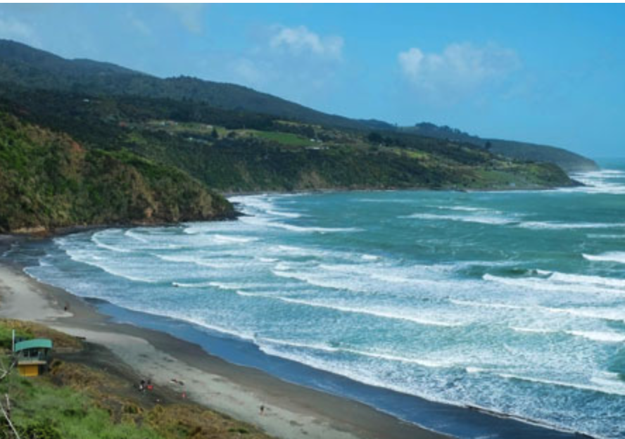 Screenshot 2026-01-26 at 10.39.20 AM