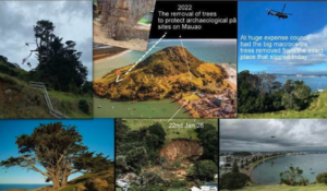 Screenshot 2026-01-27 at 5.03.21 PM