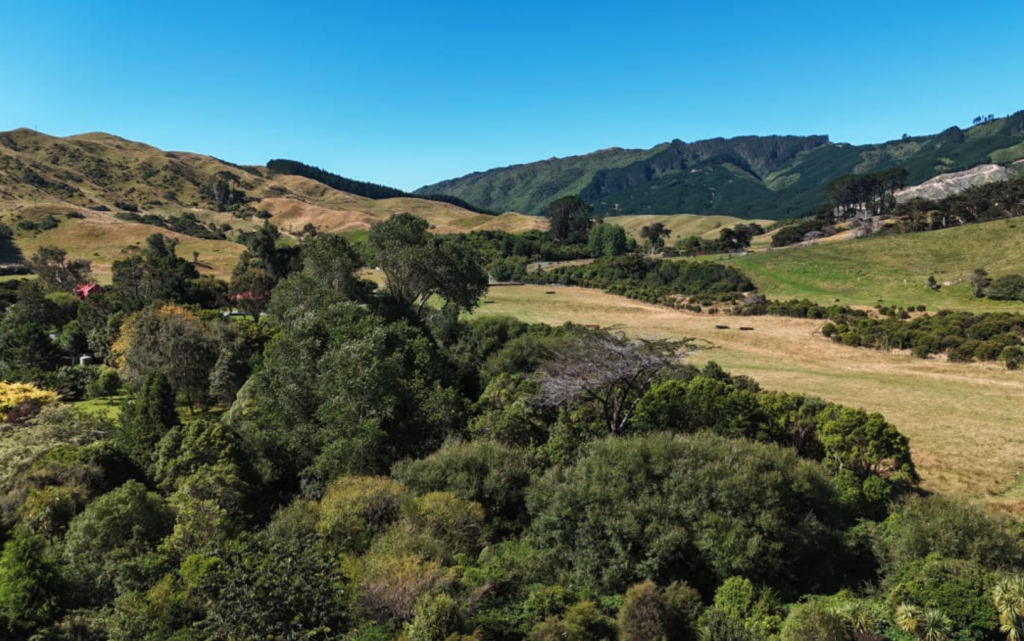 Screenshot 2026-01-29 at 3.37.06 PM