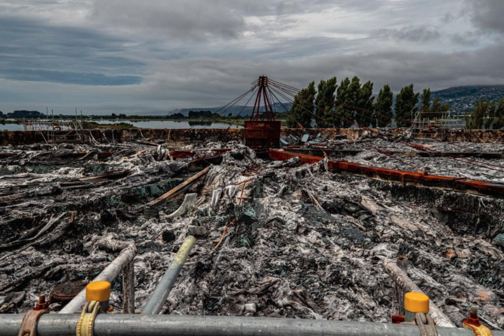 Screenshot 2026-01-30 at 9.56.55 AM