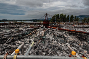 Screenshot 2026-01-30 at 9.56.55 AM